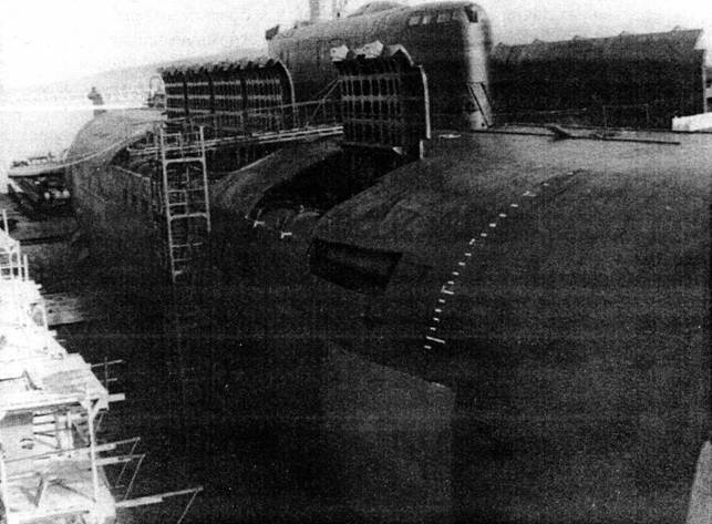 Ударная сила флота (подводные лодки типа «Курск») pic_1.jpg