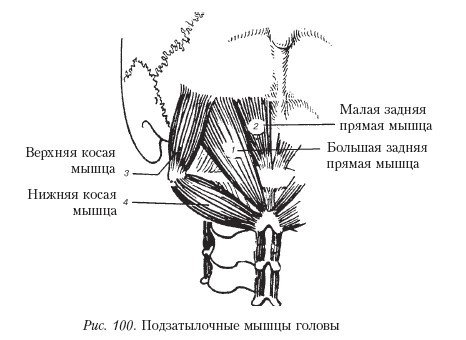 Самоучитель массажа. _100.jpg