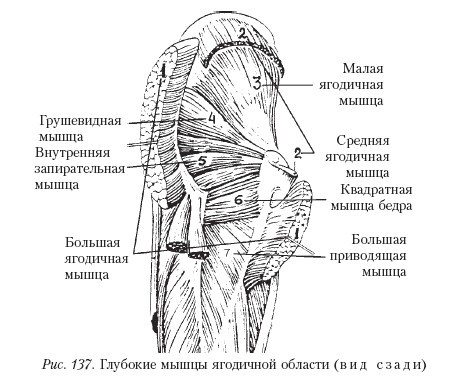 Самоучитель массажа. _137.jpg