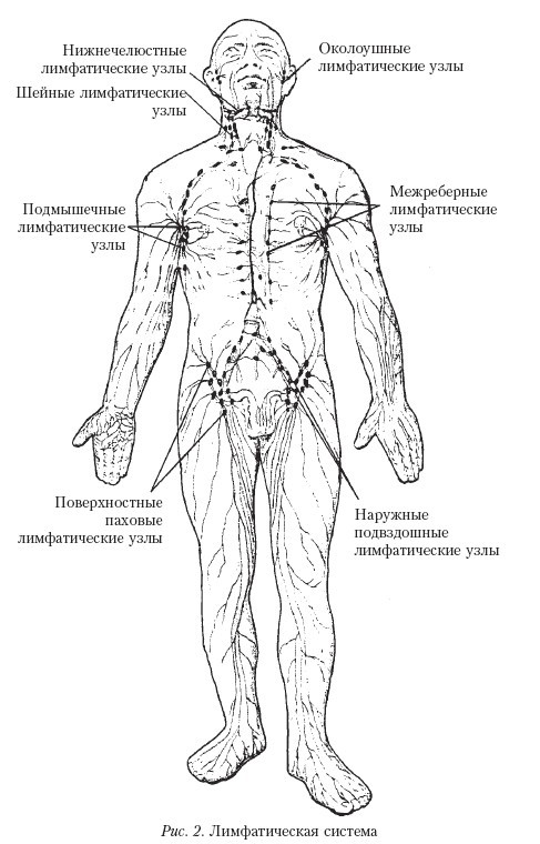 Самоучитель массажа. _2.jpg