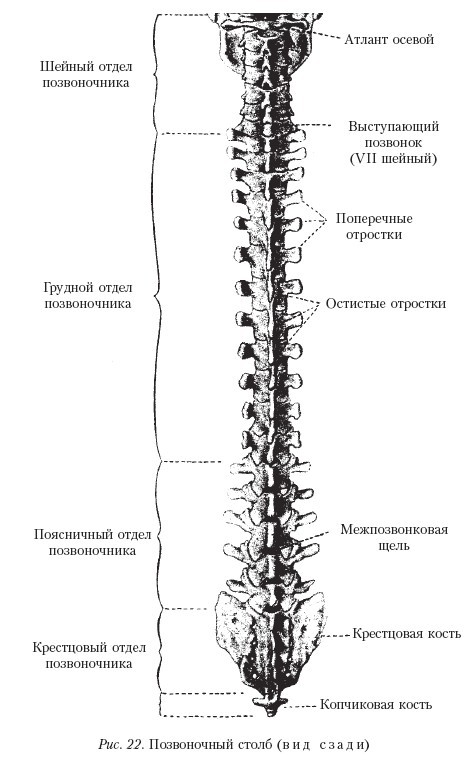 Самоучитель массажа. _22.jpg