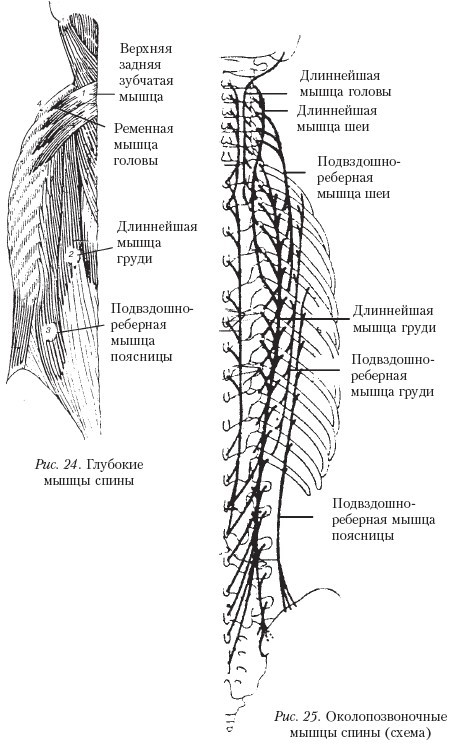 Самоучитель массажа. _25.jpg