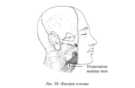 Самоучитель массажа. _98.jpg