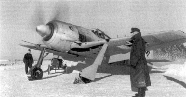 Асы люфтваффе пилоты Fw 190 на Восточном фронте pic_1.jpg_0