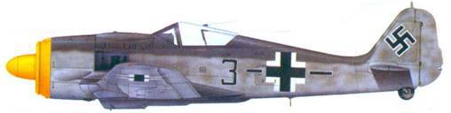 Асы люфтваффе пилоты Fw 190 на Восточном фронте pic_131.jpg