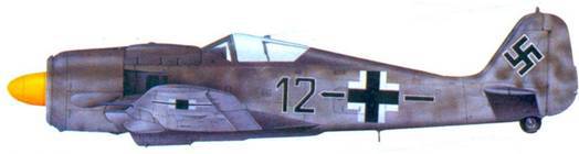 Асы люфтваффе пилоты Fw 190 на Восточном фронте pic_134.jpg