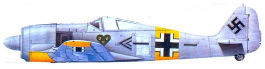 Асы люфтваффе пилоты Fw 190 на Восточном фронте pic_135.jpg
