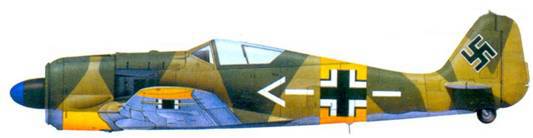 Асы люфтваффе пилоты Fw 190 на Восточном фронте pic_138.jpg