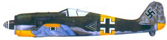 Асы люфтваффе пилоты Fw 190 на Восточном фронте pic_140.jpg