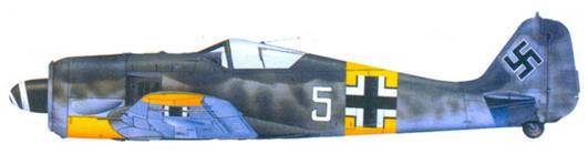 Асы люфтваффе пилоты Fw 190 на Восточном фронте pic_144.jpg