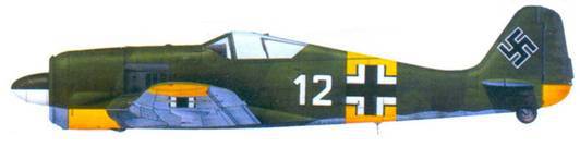 Асы люфтваффе пилоты Fw 190 на Восточном фронте pic_145.jpg