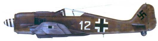Асы люфтваффе пилоты Fw 190 на Восточном фронте pic_147.jpg