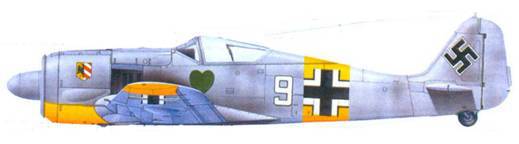 Асы люфтваффе пилоты Fw 190 на Восточном фронте pic_148.jpg