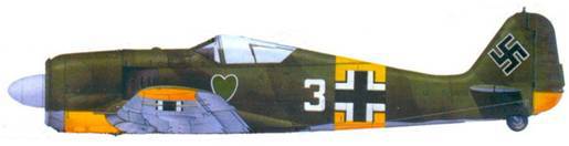 Асы люфтваффе пилоты Fw 190 на Восточном фронте pic_150.jpg