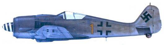 Асы люфтваффе пилоты Fw 190 на Восточном фронте pic_161.jpg