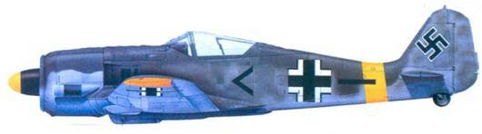 Асы люфтваффе пилоты Fw 190 на Восточном фронте pic_165.jpg