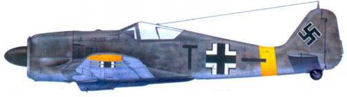 Асы люфтваффе пилоты Fw 190 на Восточном фронте pic_167.jpg