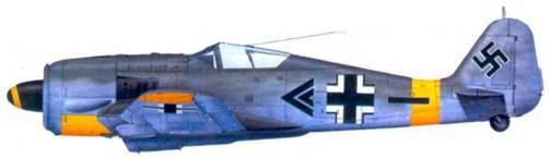 Асы люфтваффе пилоты Fw 190 на Восточном фронте pic_169.jpg