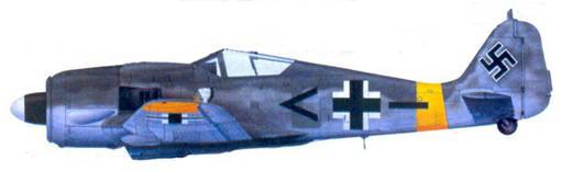 Асы люфтваффе пилоты Fw 190 на Восточном фронте pic_171.jpg