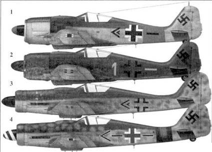 Асы люфтваффе пилоты Fw 190 на Восточном фронте pic_8.jpg