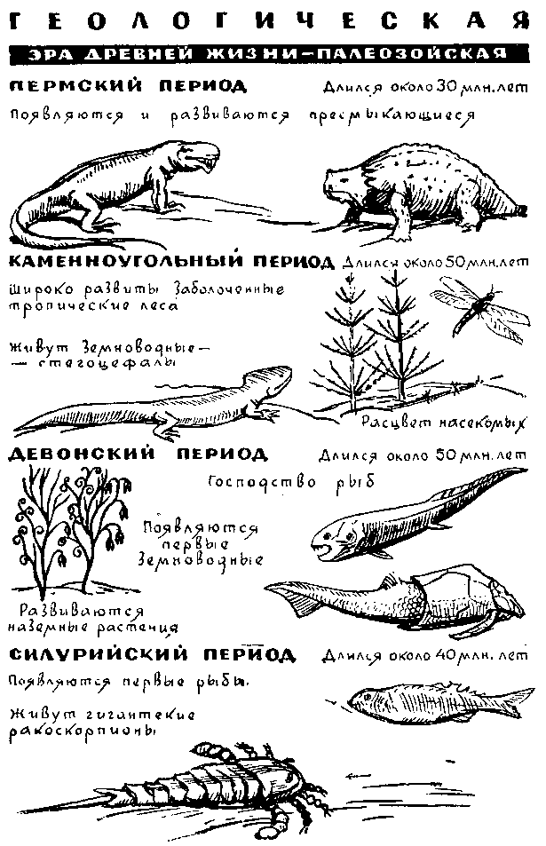 По страницам каменных летописей i_028.png