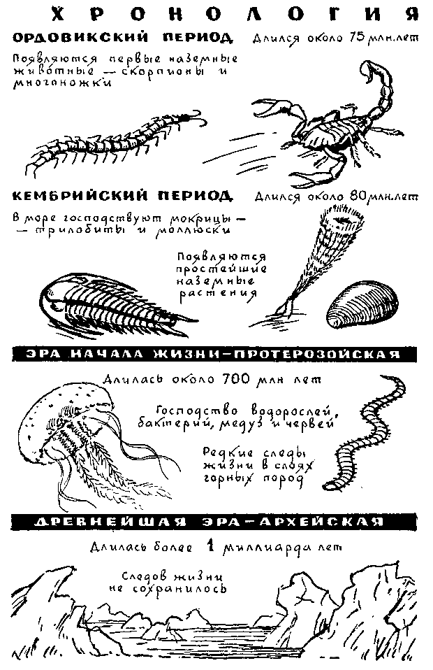 По страницам каменных летописей i_029.png