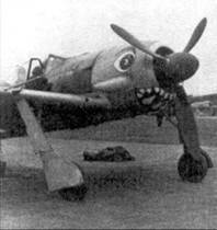 Асы люфтваффе пилоты Fw 190 на Западном фронте pic_30.jpg