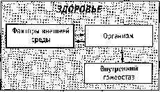 Стиль спецназа. Система боевого выживания _03.jpg