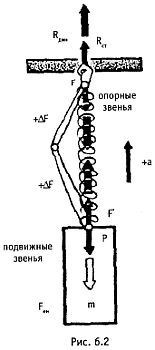 Стиль спецназа. Система боевого выживания _77.jpg