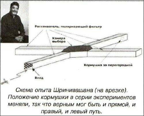 Открытия и гипотезы №1, 2012 i_031.jpg