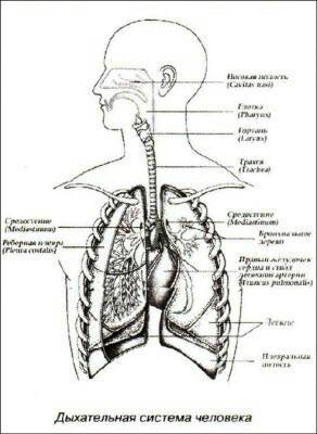 «Открытия и гипотезы» №2, 2012 i_037.jpg