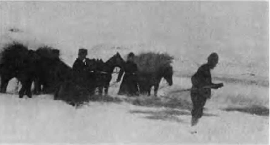 Казаки на Кавказском фронте 1914–1917 i_031.jpg