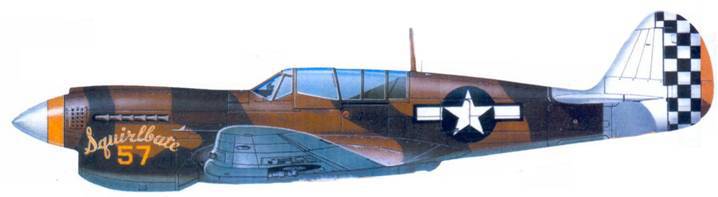 Curtiss P-40 Часть 1 pic_108.jpg