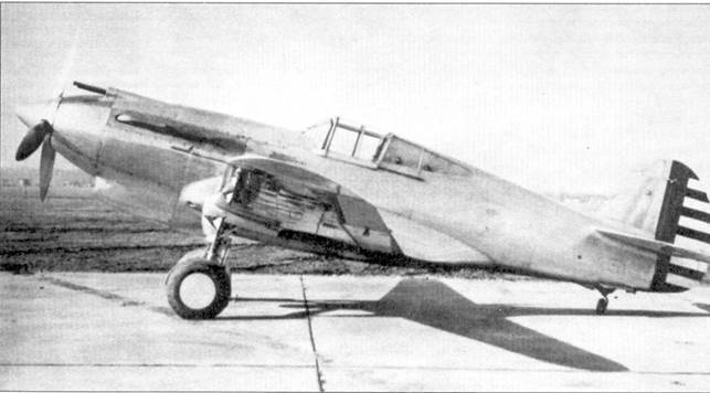 Curtiss P-40 Часть 1 pic_23.jpg