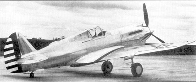 Curtiss P-40 Часть 1 pic_27.jpg