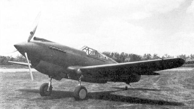 Curtiss P-40 Часть 1 pic_37.jpg