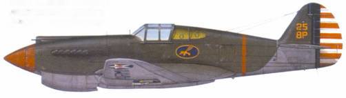 Curtiss P-40 Часть 1 pic_95.jpg
