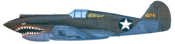 Curtiss P-40 Часть 1 pic_98.jpg
