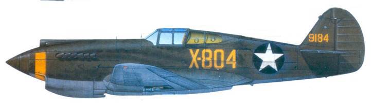 Curtiss P-40 Часть 1 pic_99.jpg