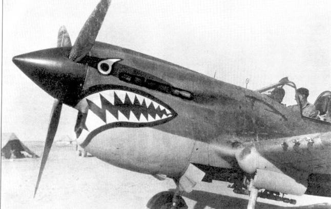 Curtiss P-40 часть 4 pic_2.jpg