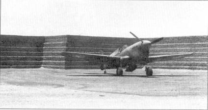 Curtiss P-40 часть 4 pic_3.jpg