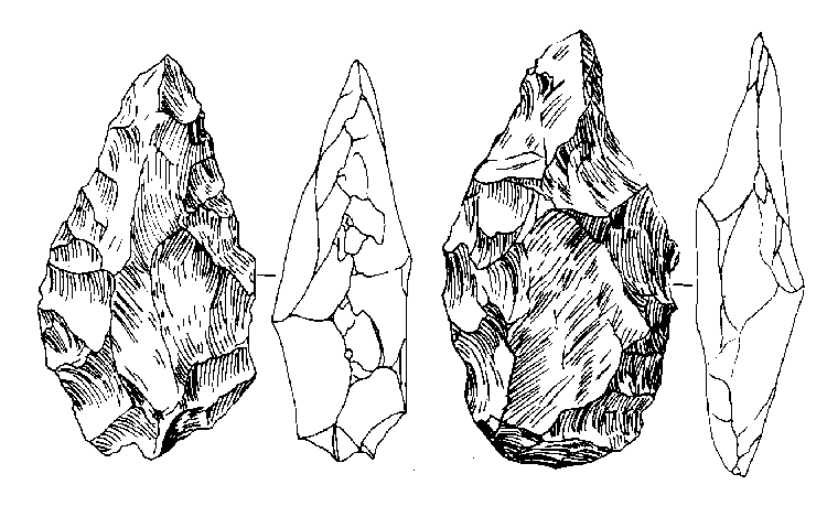 История одной случайности, или Происхождение человека i_026.png