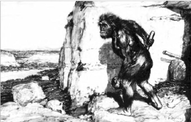 Неандертальцы: история несостоявшегося человечества img_02_06.jpg