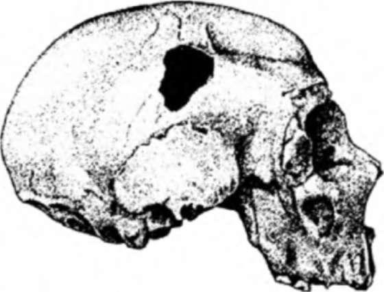 Неандертальцы: история несостоявшегося человечества img_03_13.jpg
