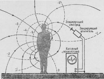 Активное долголетие (Моя система борьбы со старостью) pic_24.jpg