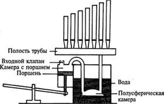 Орган схема музыкального устройства