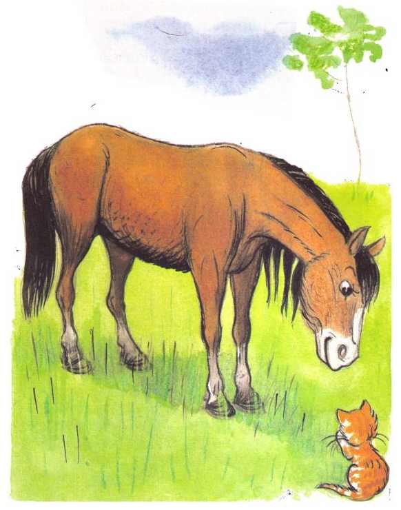 Почему плакала рыжуха. Иллюстрация к рассказу о чем плачут лошади. О чём плачут лошади. Куприн изумруд иллюстрации. Иллюстрации о чëм плачут лошади.