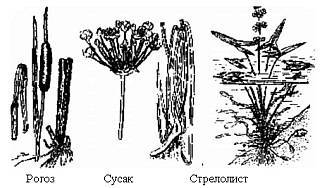 Приготовление целебных спиртных напитков _06.jpg