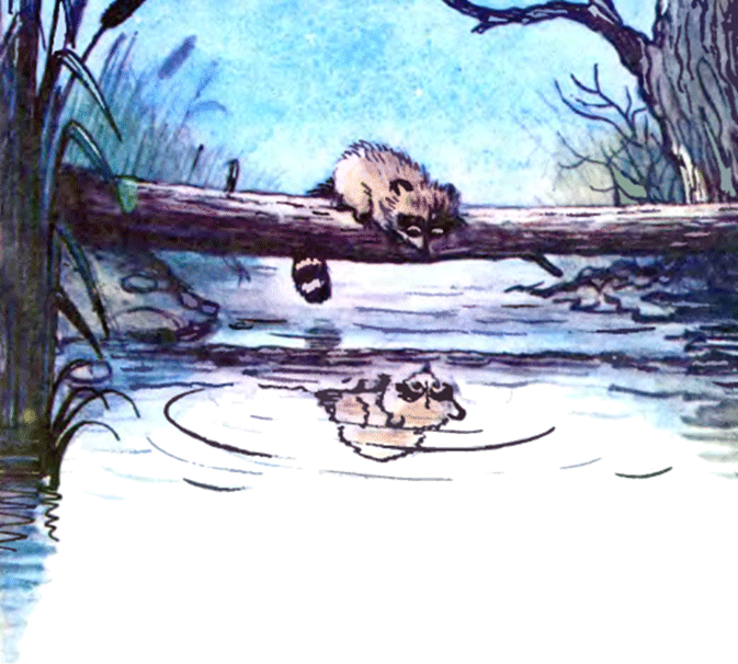 Крошка Енот и тот, кто сидит в пруду (с илл.) image07.png