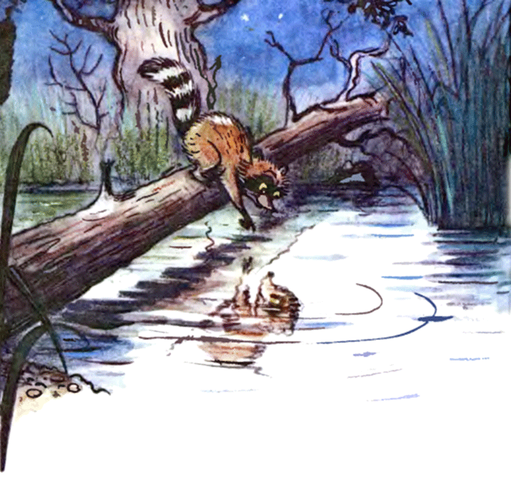 Крошка Енот и тот, кто сидит в пруду (с илл.) image15.png